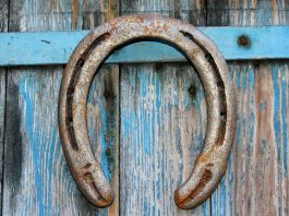 Que faut-il savoir sur les haras nationaux ? Que faut-il savoir sur les haras nationaux ?