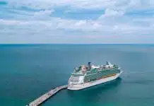 Objets essentiels à glisser dans votre valise avant une croisière