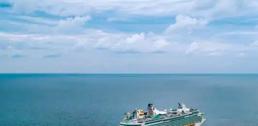 Ne partez pas sans eux : Les objets essentiels à emporter avant de partir en croisière