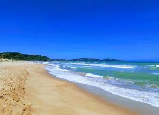 Pourquoi choisir d’aller au Brésil ?