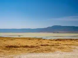 Obtenir son visa électronique pour le Kenya ou la Tanzanie : point des démarches à mener