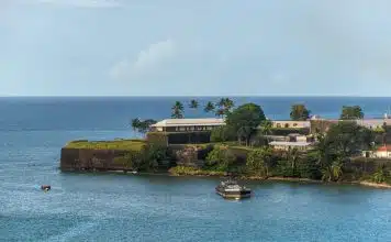 Quelles sont les activités à faire en Martinique ?