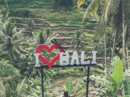 Où et quand aller à Bali ?