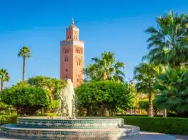 Les jardins de Marrakech : une exploration des jardins de la ville Les jardins de Marrakech une exploration des jardins de la ville