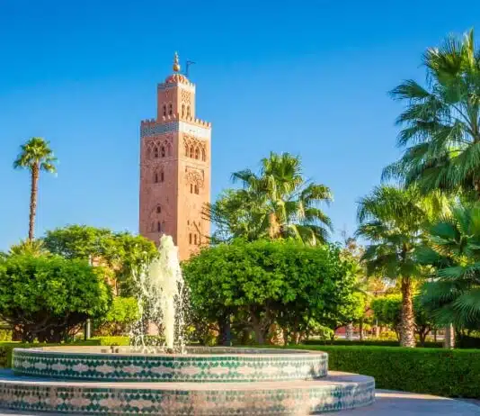 Les jardins de Marrakech : une exploration des jardins de la ville Les jardins de Marrakech une exploration des jardins de la ville
