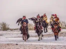 Pourquoi choisir de faire un voyage en Mongolie ? Pourquoi choisir de faire un voyage en Mongolie ?