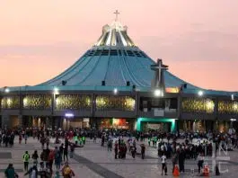 Où aller sur le forum Guadalupe ?