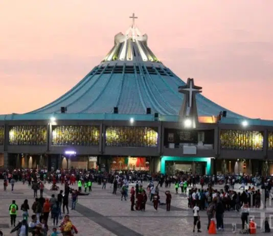 Où aller sur le forum Guadalupe ?