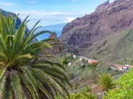 Organiser un voyage inoubliable à Tenerife