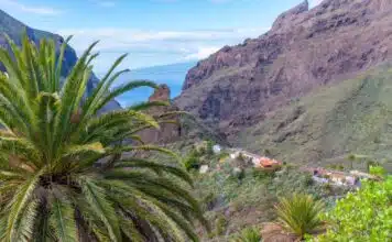 Organiser un voyage inoubliable à Tenerife