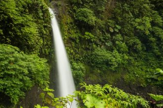 Costa Rica : le guide pratique pour organiser un voyage parfait