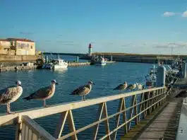 Découvrez le charme de l'île d'Oléron !