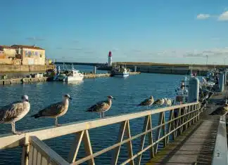 Découvrez le charme de l’île d’Oléron ! Découvrez le charme de l'île d'Oléron !
