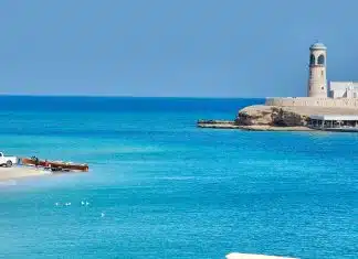 Découvrez le médoc pour vos prochaines vacances ! Découvrez le médoc pour vos prochaines vacances !