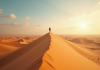 Touriste seul sur une dune dans le désert du Namib