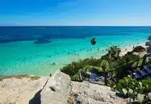 green palm trees on white sand beach during daytime