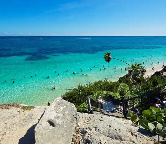 green palm trees on white sand beach during daytime