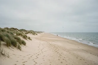 Vue panoramique d'une plage sauvage du littoral Nord avec dunes de sable et mer du Nord à l'horizon