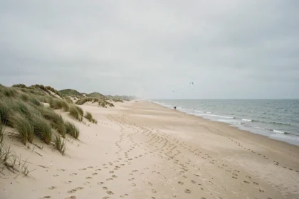 Vue panoramique d'une plage sauvage du littoral Nord avec dunes de sable et mer du Nord à l'horizon
