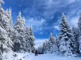 Partir à Tignes : la location de vacances idéale pour se ressourcer en montagne ! Partir à Tignes : la location de vacances idéale pour se ressourcer en montagne !