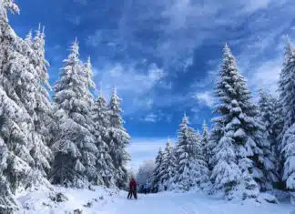 Partir à Tignes : la location de vacances idéale pour se ressourcer en montagne ! Partir à Tignes : la location de vacances idéale pour se ressourcer en montagne !