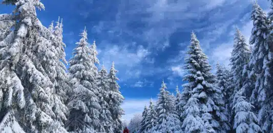 Partir à Tignes : la location de vacances idéale pour se ressourcer en montagne ! Partir à Tignes : la location de vacances idéale pour se ressourcer en montagne !