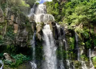 Plongez au cœur de l'île de la Réunion en canyoning !