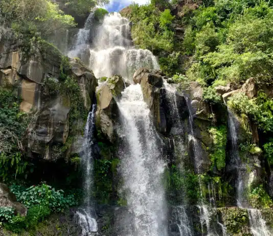 Plongez au cœur de l'île de la Réunion en canyoning !