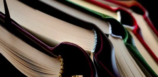 Pourquoi faire un BTS ? Pourquoi faire un BTS ?