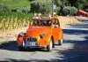Quel domaine viticole de Bandol visiter ?