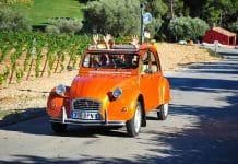 Quel domaine viticole de Bandol visiter ?