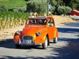 Quel domaine viticole de Bandol visiter ?