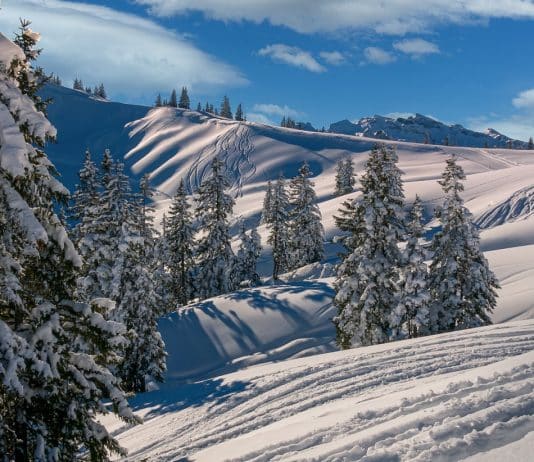 Réservez une location en Savoie pour vos vacances d'hiver !