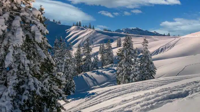 Réservez une location en Savoie pour vos vacances d'hiver !