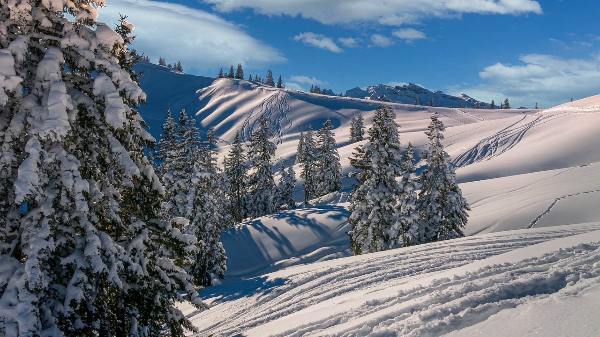 Réservez une location en Savoie pour vos vacances d'hiver !