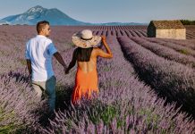 Sous le soleil de Provence : vivez des vacances pleines de charme !