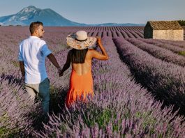 Sous le soleil de Provence : vivez des vacances pleines de charme ! Sous le soleil de Provence : vivez des vacances pleines de charme !