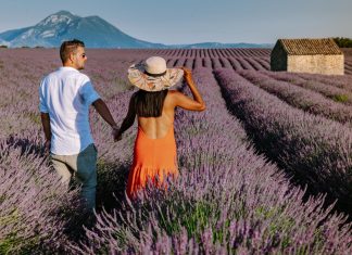 Sous le soleil de Provence : vivez des vacances pleines de charme ! Sous le soleil de Provence : vivez des vacances pleines de charme !