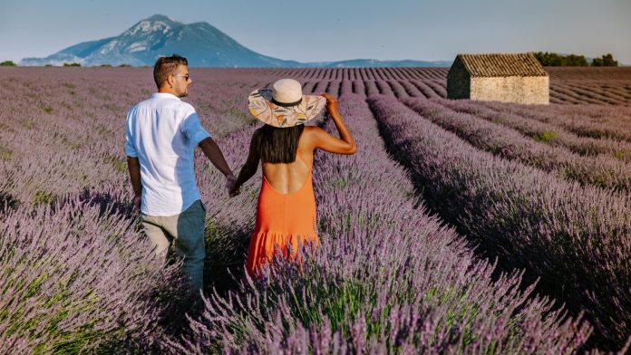 Sous le soleil de Provence : vivez des vacances pleines de charme !