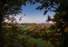 Vacances près de Sarlat : nature et détente au cœur du Périgord noir !