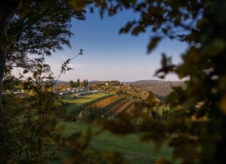 Vacances près de Sarlat : nature et détente au cœur du Périgord noir !