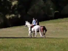 Visiter la Seine-et-Marne : la nature au rendez-vous !